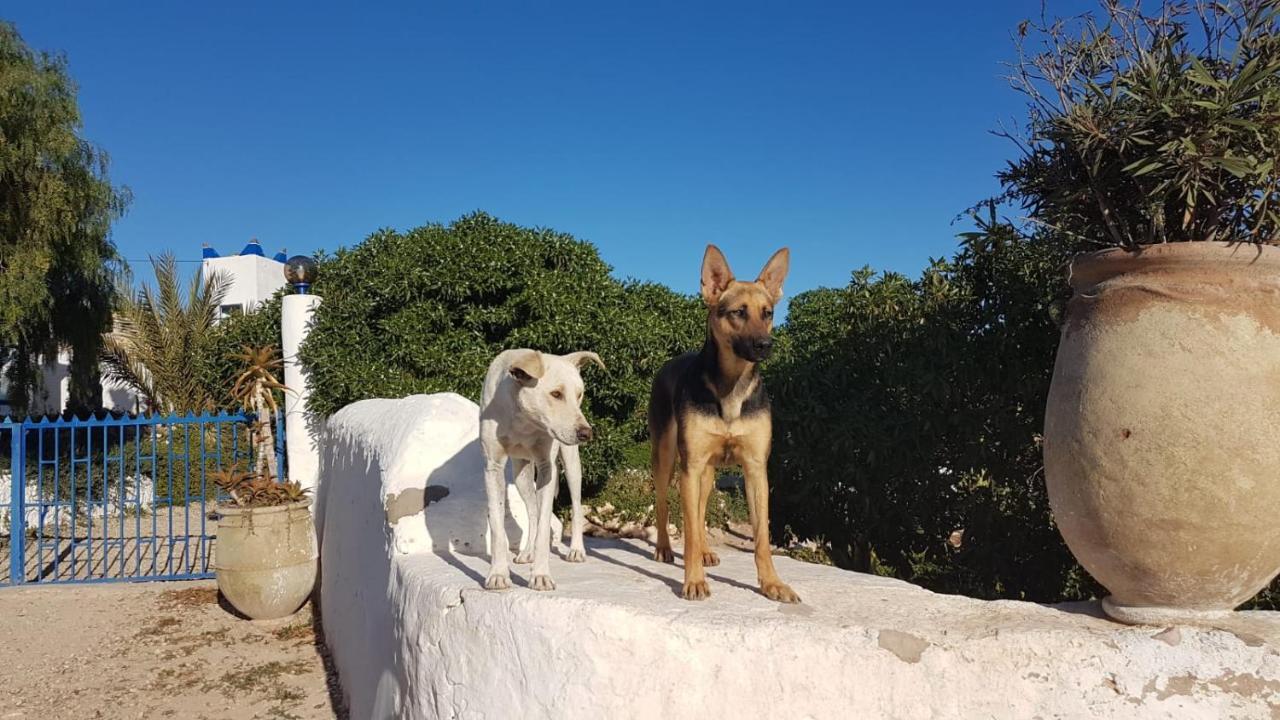 L'Air De La Mer Sidi Kaouki Kültér fotó
